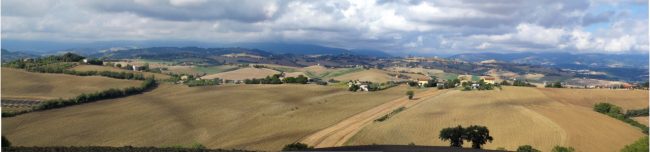 panorama-della-Contrada-Cantagallo