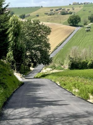 strada_cavallino