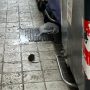 Topi nel borgo marinaro,  Ciarapica: «Fatta la derattizzazione,  ma i rifiuti siano conferiti correttamente»