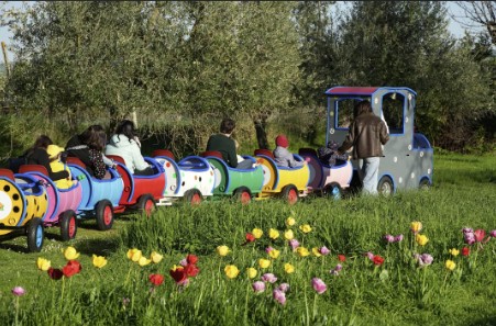 trenino-lucciole