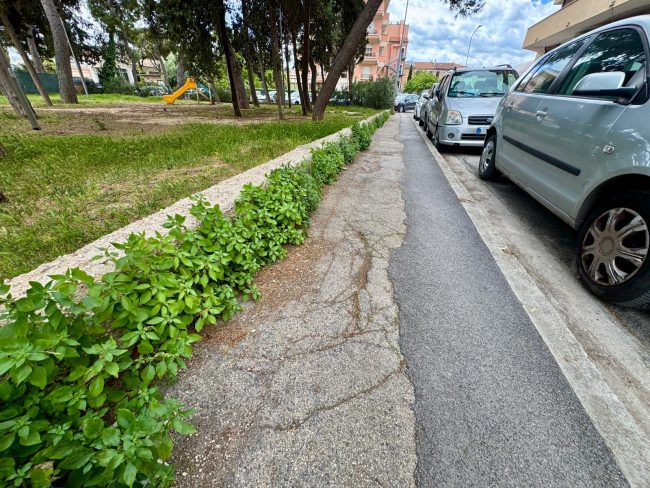via boeri varco civitanova (13)
