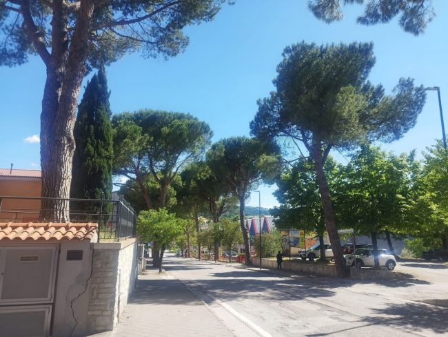 Alberi-Tolentino-