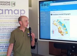 Ondata di calore, «il picco nel weekend  con massime che arriveranno a 38 gradi»  A luglio ci salverà l’anticiclone delle Azzorre