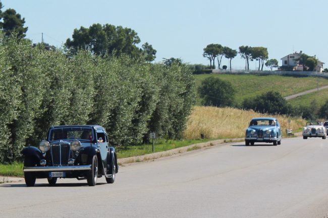 Raduno-Jaguar-Scuderia-Marche-7-650x433