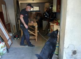 Sei carabinieri feriti,  gli aggressori chiedono scusa:  confermato il carcere