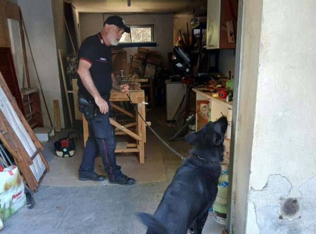 blitz antidroga corridonia 2
