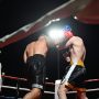 La boxe sulla Terrazza dei popoli,  cinque vittorie per il Boxing club