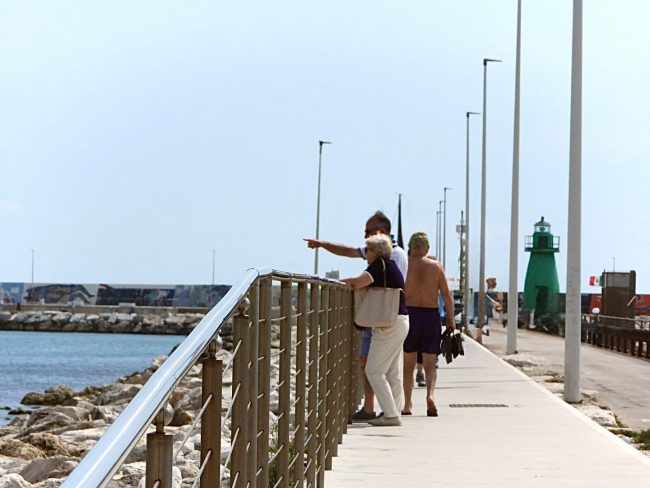 delfino civitanova (6)