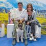 La cucciola Akita più bella al mondo  si chiama Lozen ed è di Civitanova
