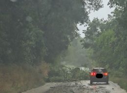 Rami caduti e allagamenti:  40 interventi in provincia.  Domani allerta gialla temporali