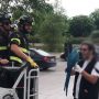 Scappa e vola sulla cima di un albero:  sos per un pappagallo
