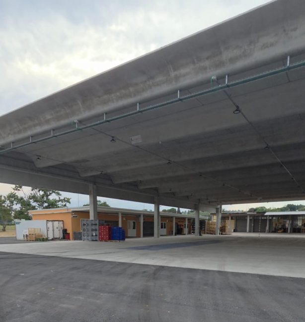 Nuovo Centro Agroalimentare (5)