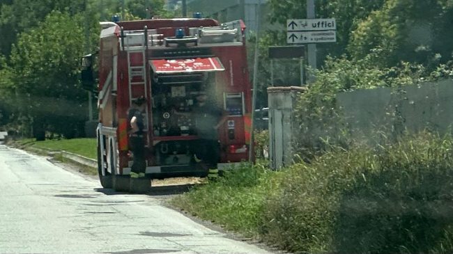 Vigili-del-fuoco