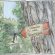 fumetto-barchi-4-55x55