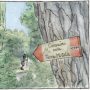 I territori colpiti dal terremoto  raccontati in un fumetto