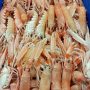 Scampi a 80 euro al chilo  «Il caro gasolio resta il vero problema»