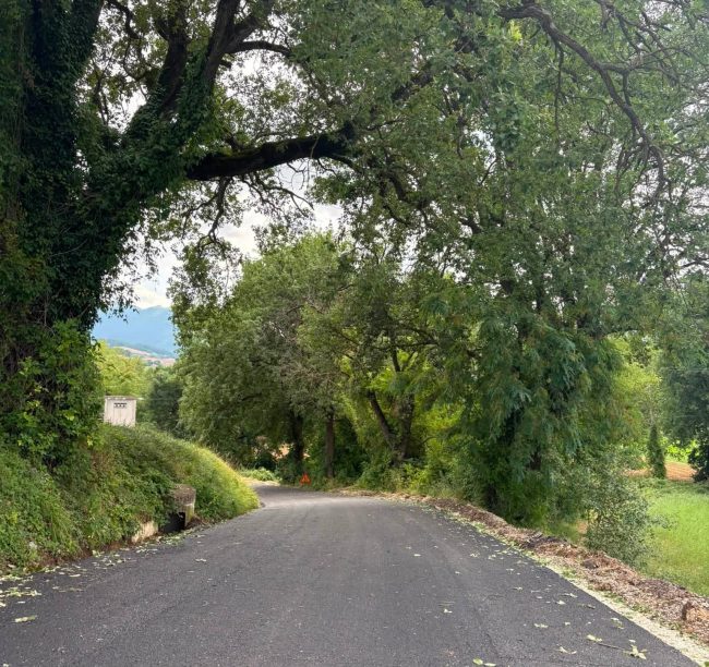 strade valbona e monacesca matelica (1)