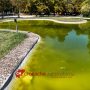 Acqua verde nel laghetto dei Giardini Diaz:  Pantana cerca le cause dell’inquinamento,  erano già stanziati 6mila euro