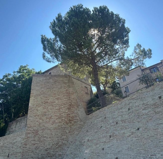Mura-Morrovalle-2-650x634