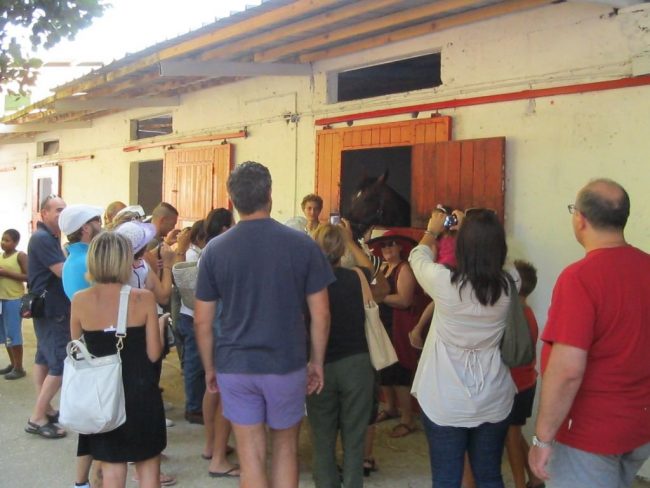 Tutti in fila per la foto con Varenne