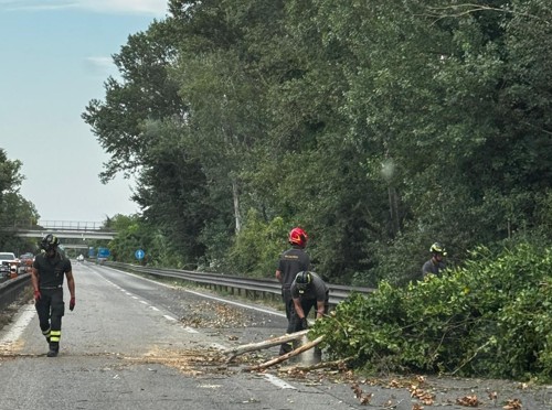 albero-caduto-in-superstrada