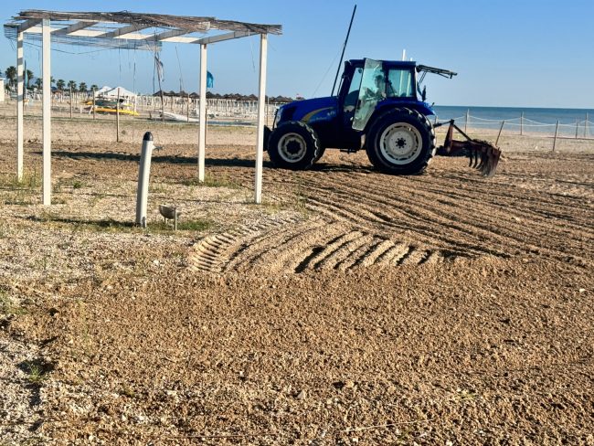 area cani lungomare sud civitanova (3)