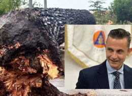 Strage di piante per il maltempo:  «Riconoscere rischio della caduta di alberi  tra gli eventi calamitosi»