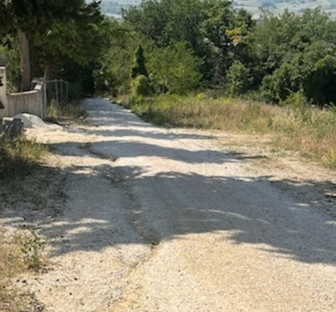 contrada-mozzavinci