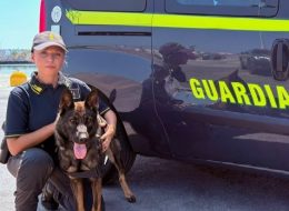 Rinforzo speciale per la Finanza:  arriva Elly, il nuovo cane antidroga