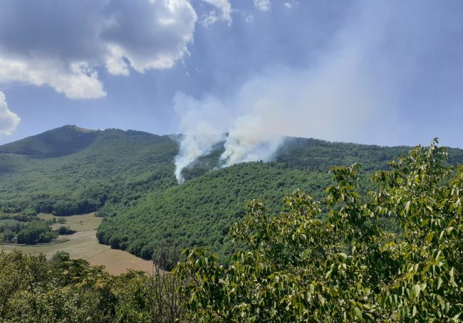 incendio-bosco-fiuminata