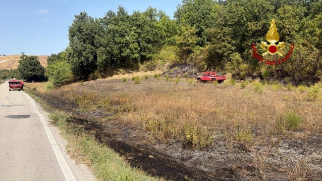 incendio-sterpagllie-strada-provinciale-3-cingoli-650x366