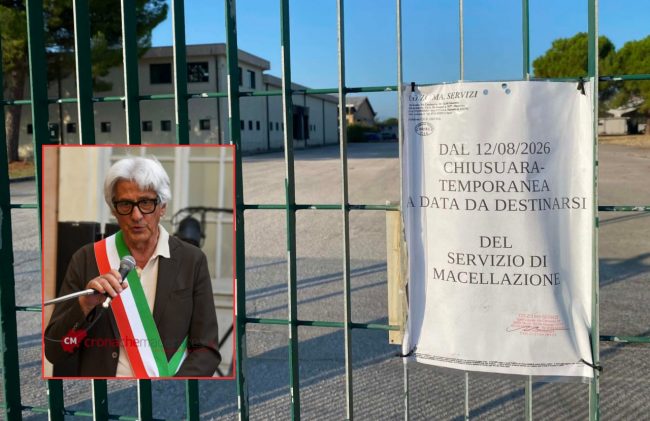 montaggio-parcaroli-mattatoio