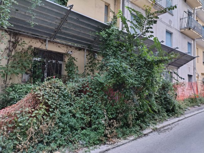 palazzina via zorli (1)