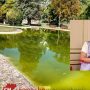 Laghetto verde ai Giardini Diaz,  «Lo svuoteremo per capire le cause»