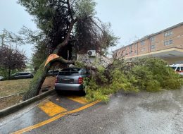 Nubifragio a Civitanova,  fango e rami in strada (Foto/Video)  un albero sopra un’auto al Pronto soccorso