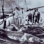 “Tormenta de Santa Rosa”, 80 anni dopo:  «Il mare non restituì i corpi  ma non ne ha cancellato il ricordo»