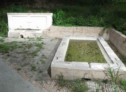 «Fonte di Santa Maria Maddalena,  l’acqua è stagnante  e l’area invasa dalle zanzare»