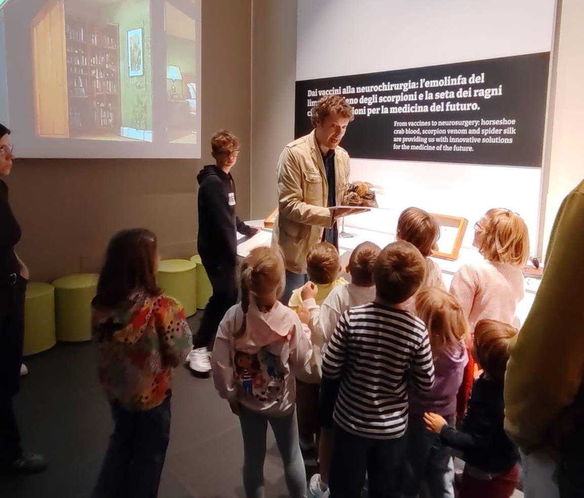 MuBi Battoni e bambini