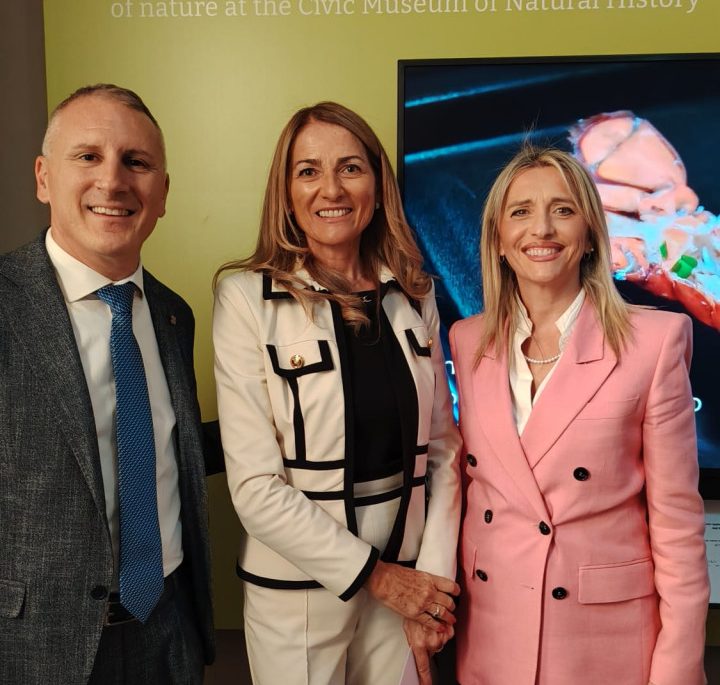 MuBi Tasso Benedetti D_Alessandro