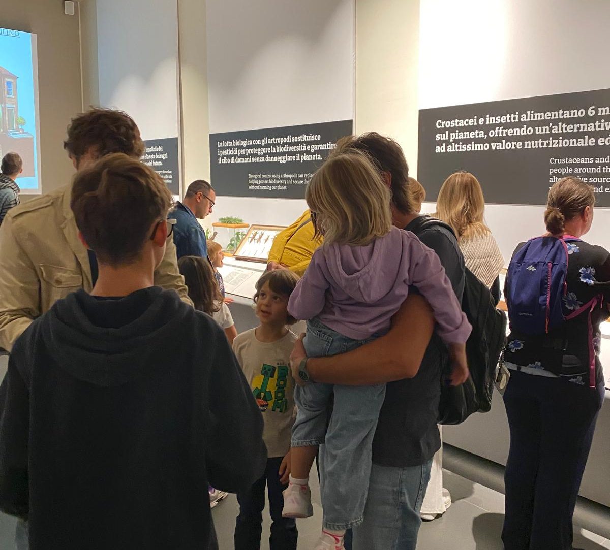 MuBi mostra Artropodi visitatori