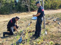 Svegliati dai colpi di fucile,  centinaia di chiamate ai carabinieri:  è ripartita la caccia, 13 multe