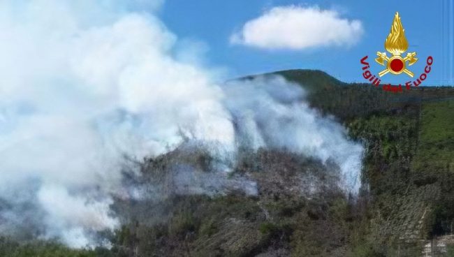 incendio-bosco-caldarola-1-650x368
