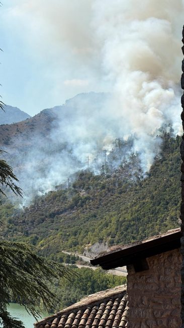 incendio bosco caldarola (foto Matilde Pontoni) (3)