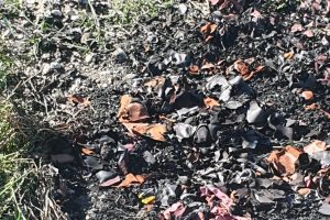 Incendiano due sacchi di pellami  accanto al fiume Chienti