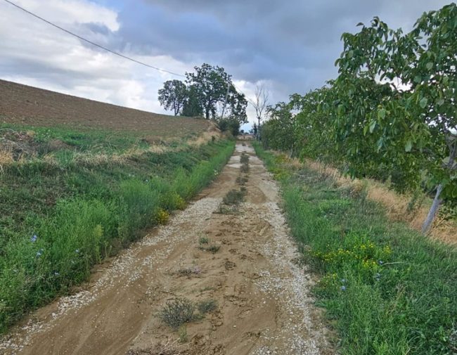 pioggia tolentino (2)