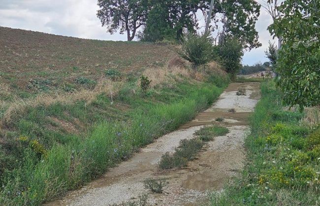 pioggia tolentino (3)