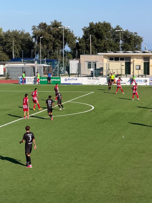 recanatese montecchio3