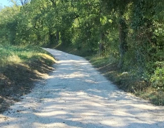 strade-dissestate-sotto-al-Colle-Tolentino