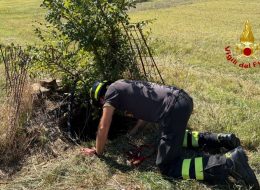 Il cane cade nel pozzo,  lui scivola dentro per salvarlo:  tirati fuori dai vigili del fuoco