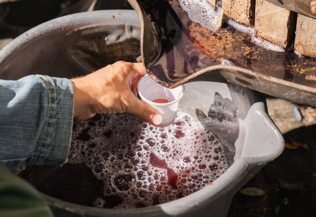vino-cotto